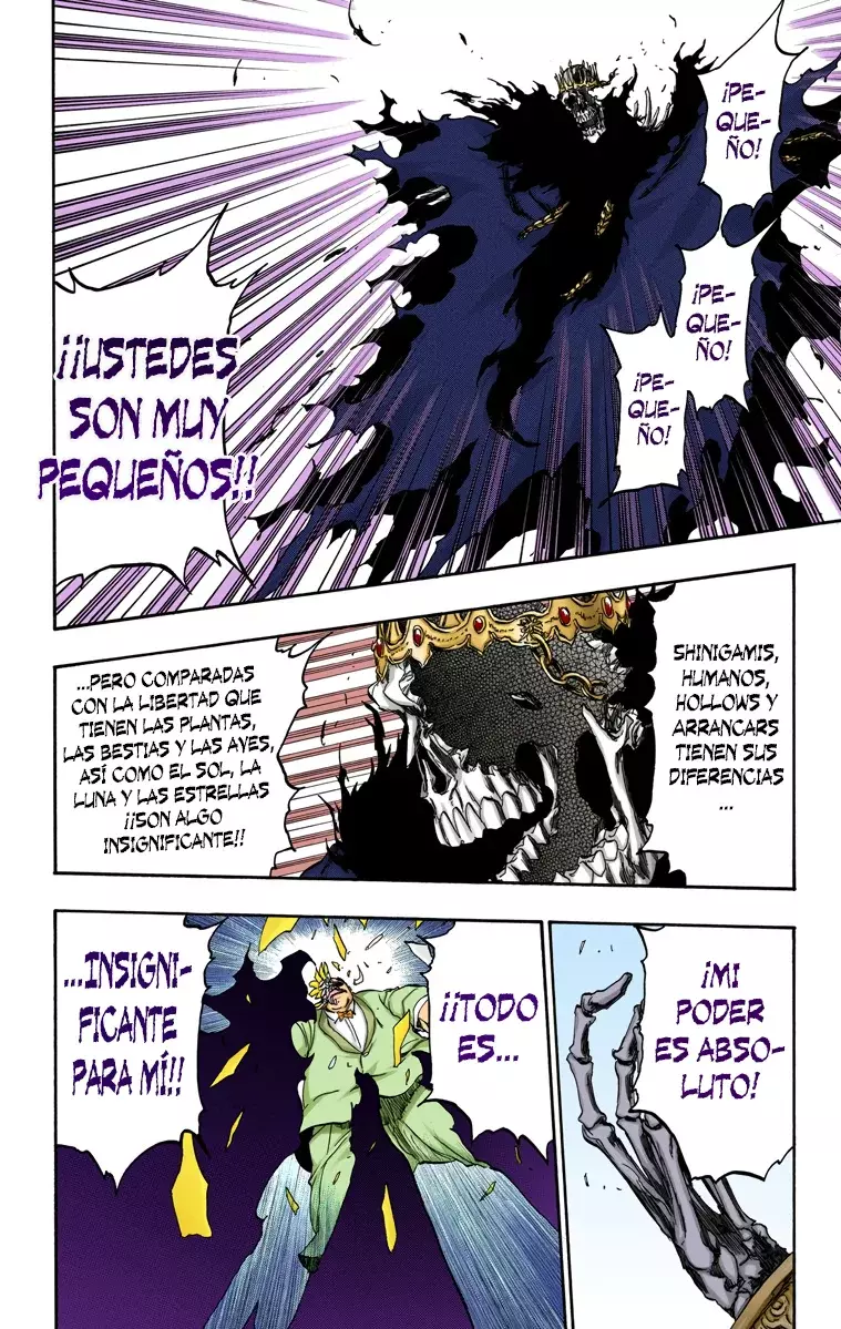 Read Bleach Full Color ES Manga Online