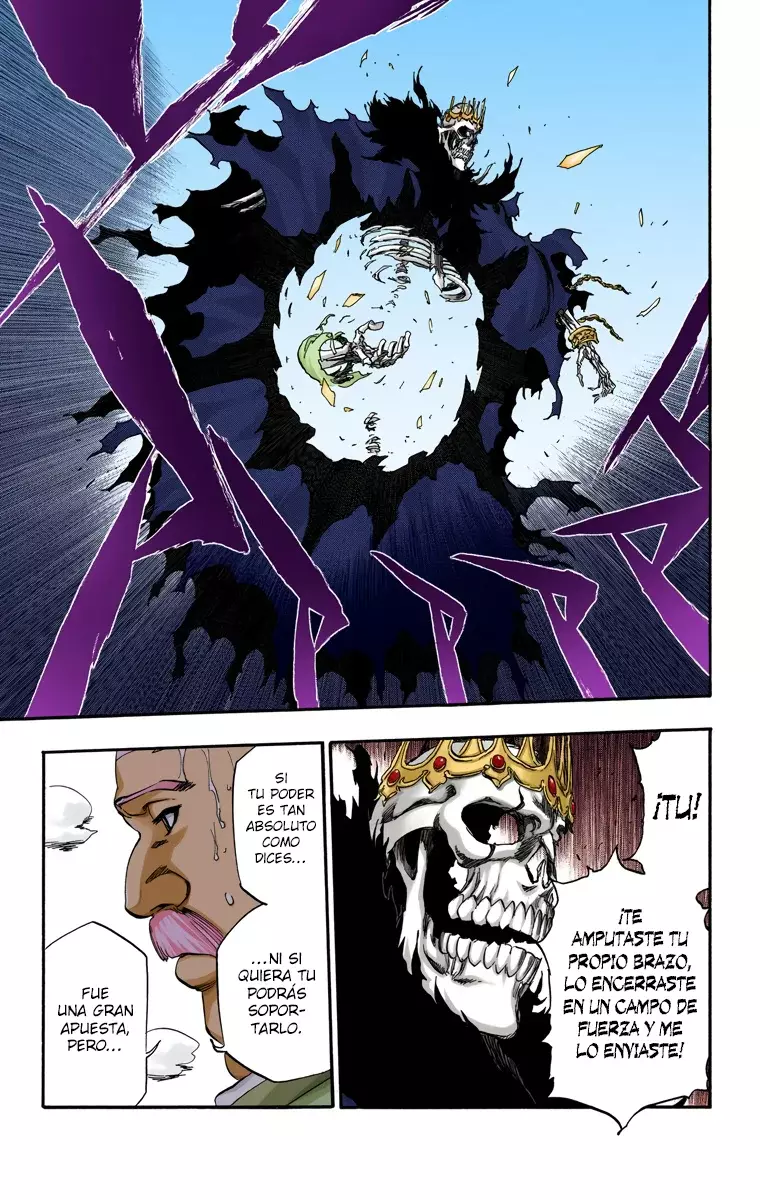 Read Bleach Full Color ES Manga Online