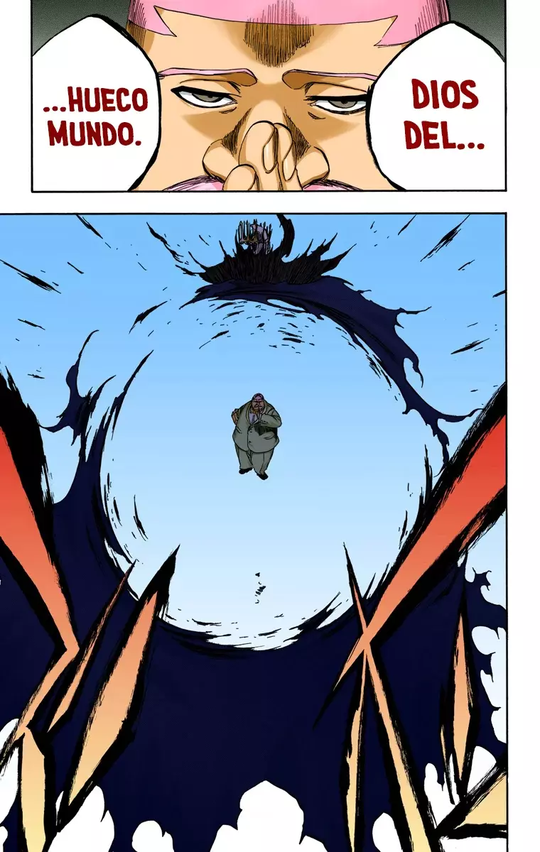 Read Bleach Full Color ES Manga Online