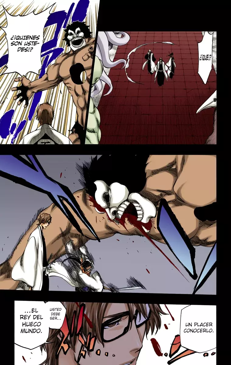 Read Bleach Full Color ES Manga Online