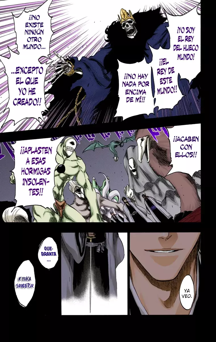 Read Bleach Full Color ES Manga Online