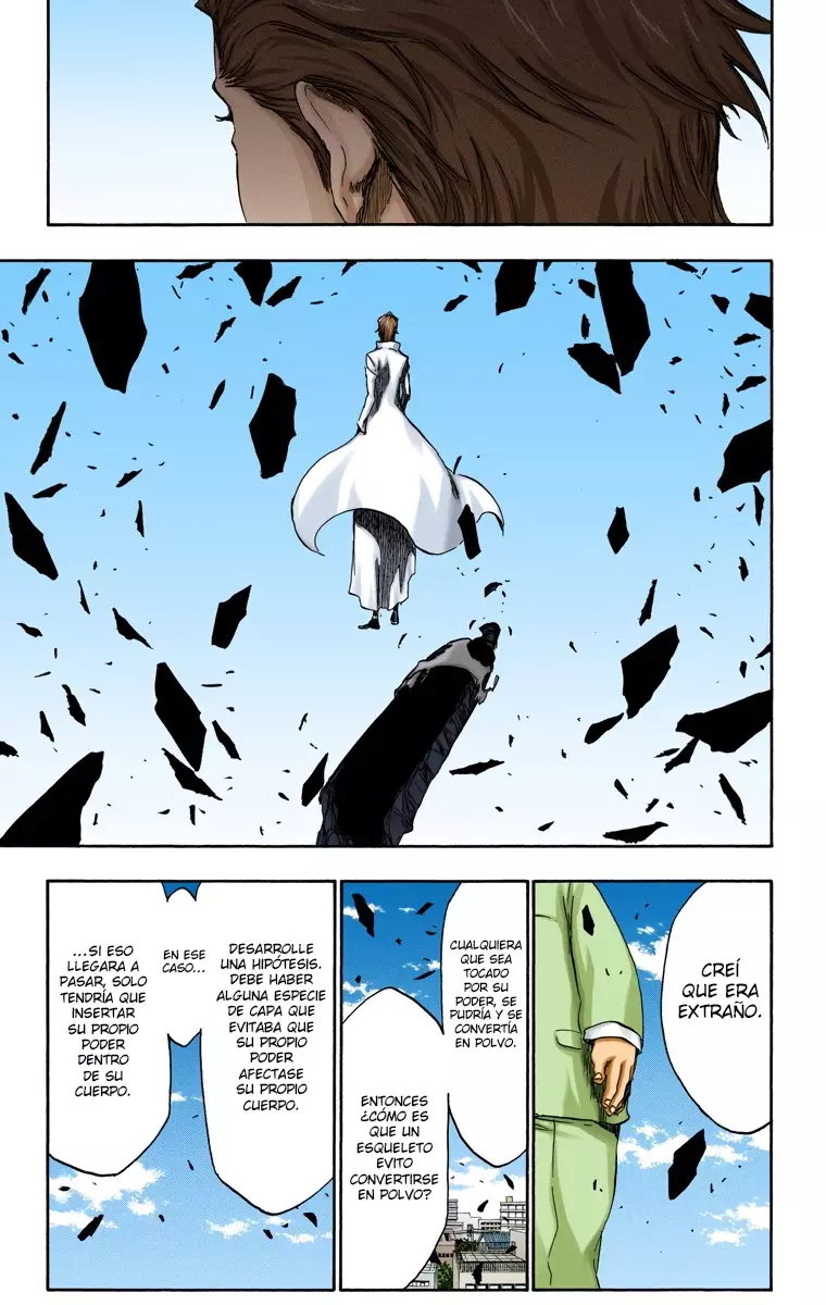 Read Bleach Full Color ES Manga Online