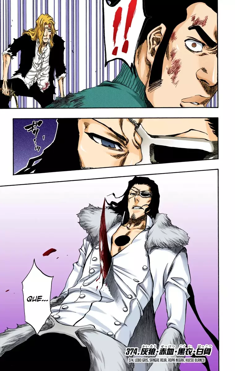 Read Bleach Full Color ES Manga Online