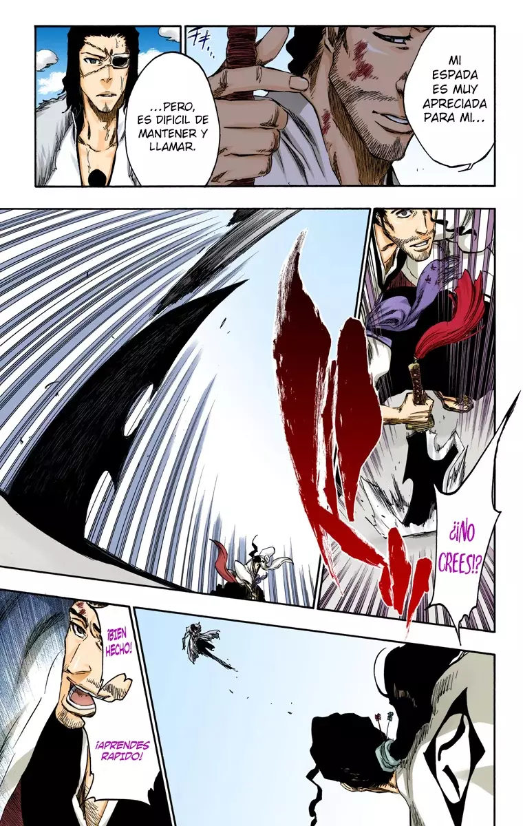 Read Bleach Full Color ES Manga Online