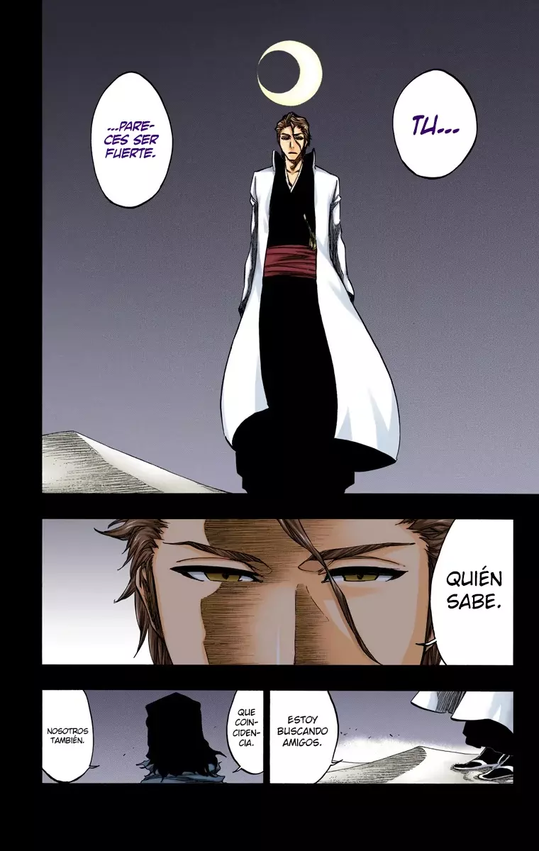 Read Bleach Full Color ES Manga Online