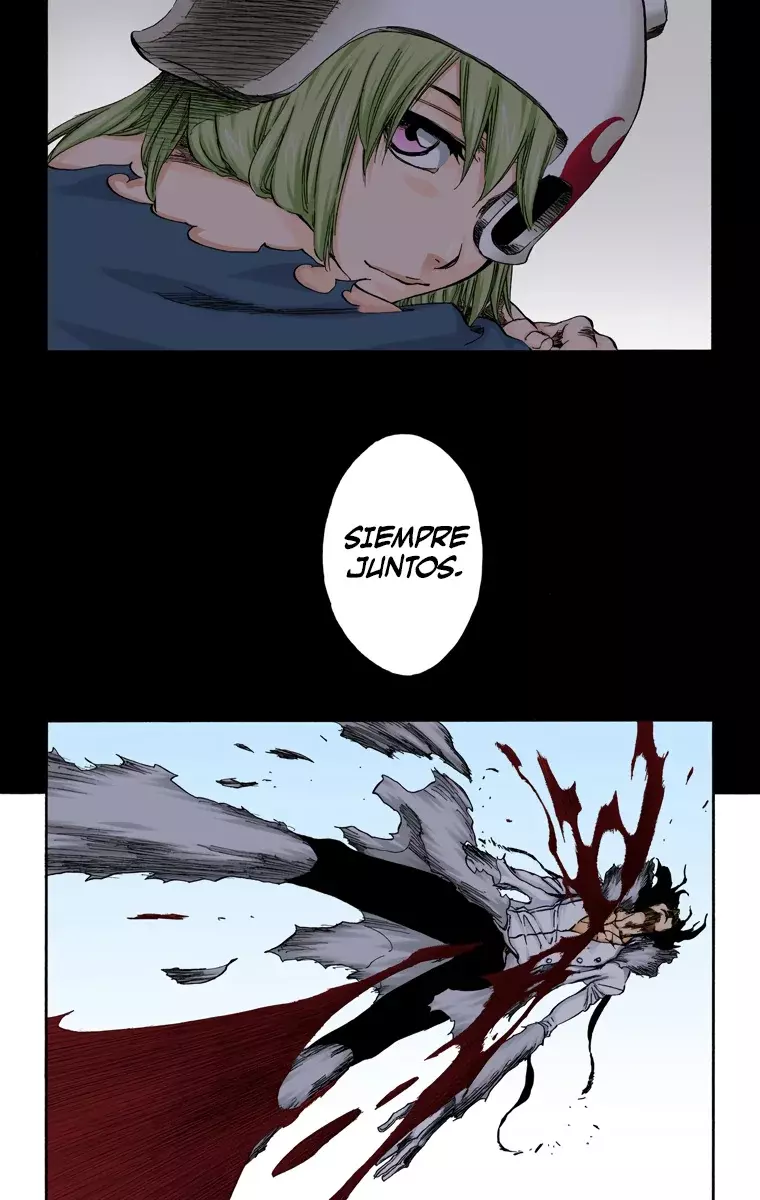 Read Bleach Full Color ES Manga Online