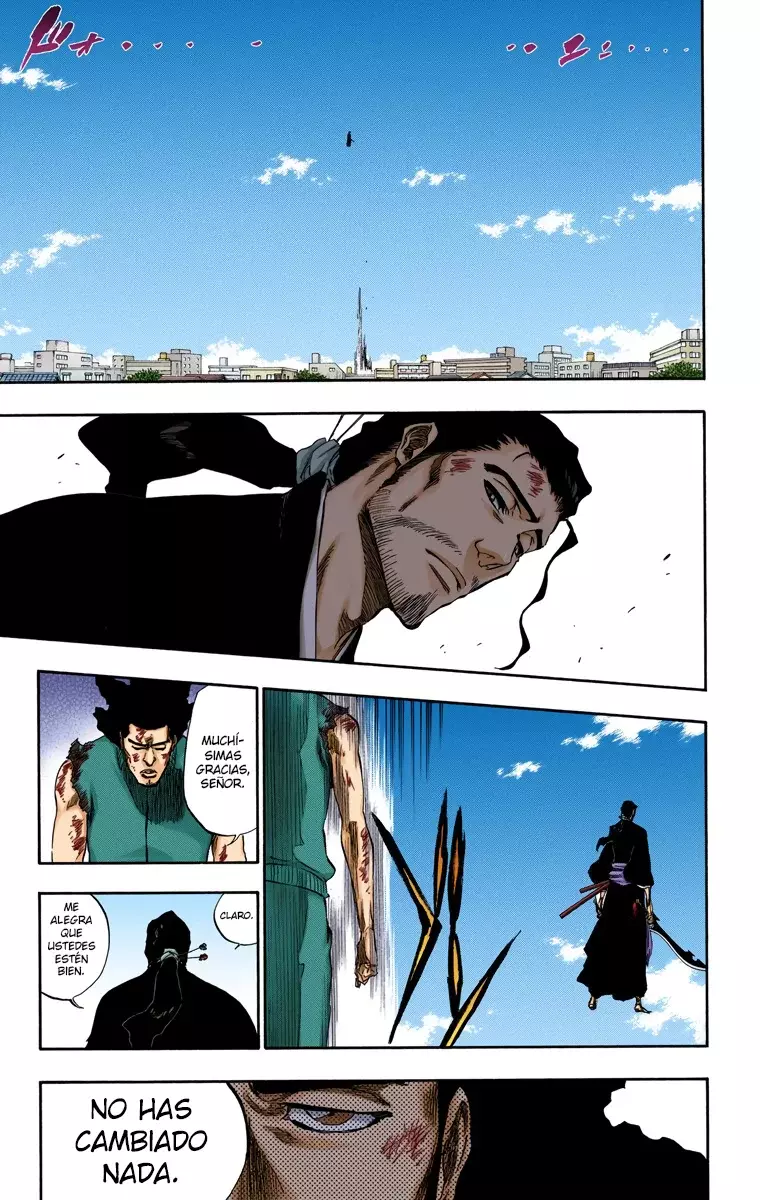 Read Bleach Full Color ES Manga Online