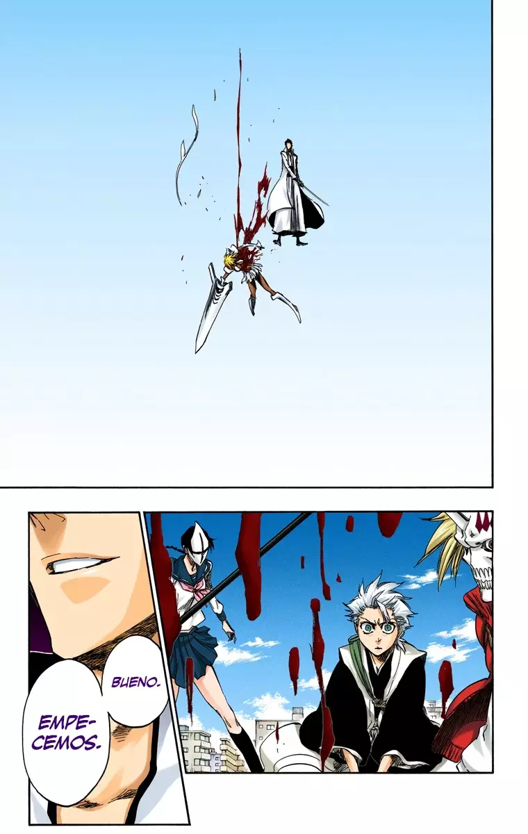 Read Bleach Full Color ES Manga Online