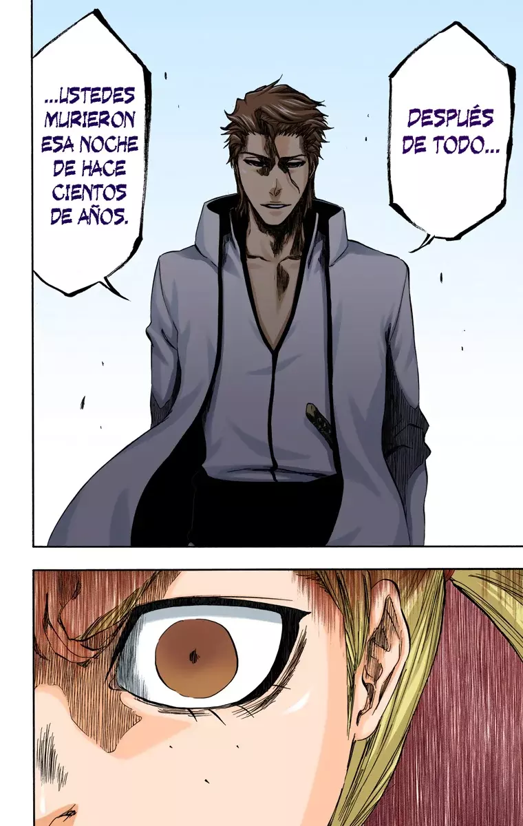 Read Bleach Full Color ES Manga Online