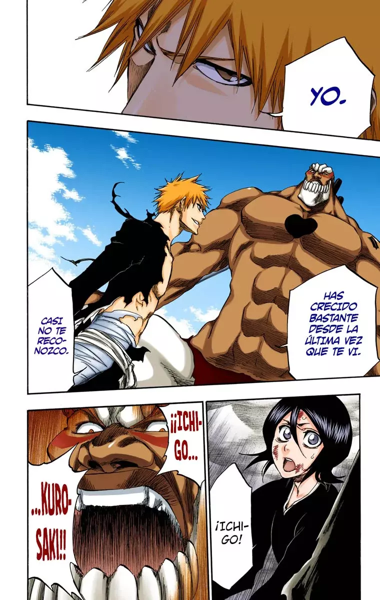 Read Bleach Full Color ES Manga Online
