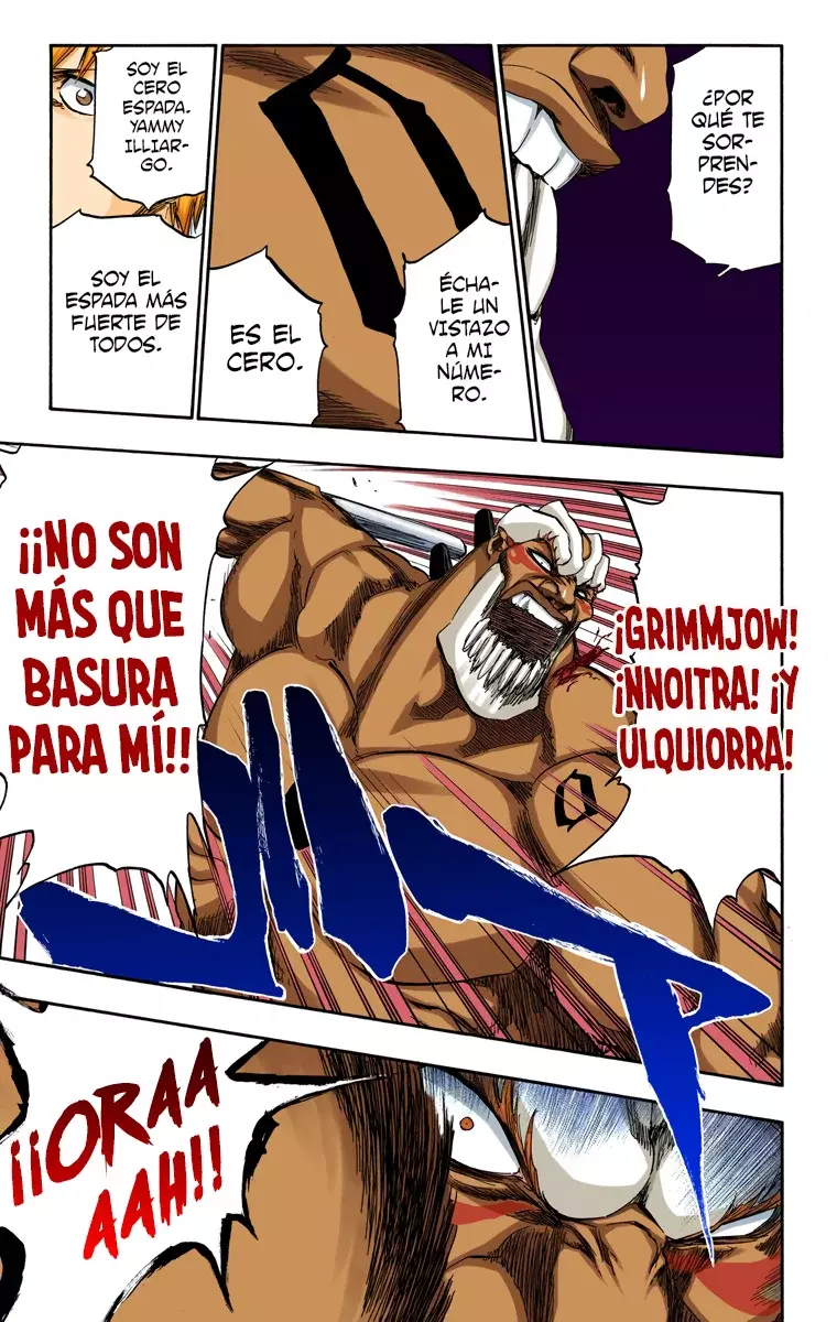 Read Bleach Full Color ES Manga Online
