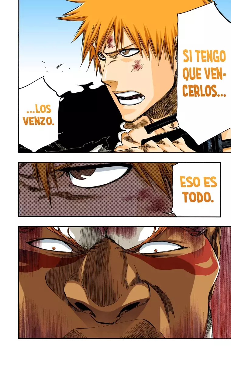 Read Bleach Full Color ES Manga Online