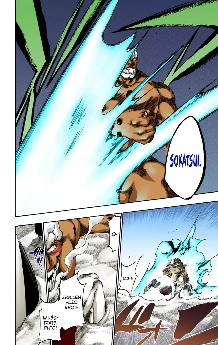Read Bleach Full Color ES Manga Online