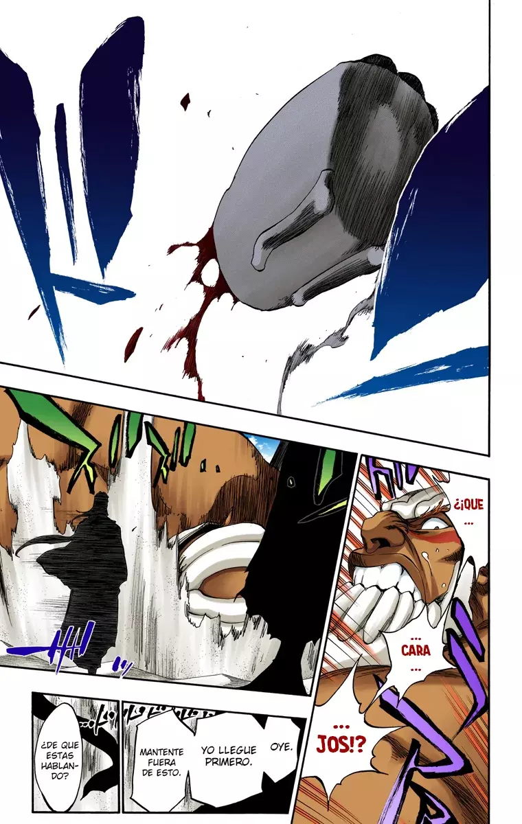 Read Bleach Full Color ES Manga Online