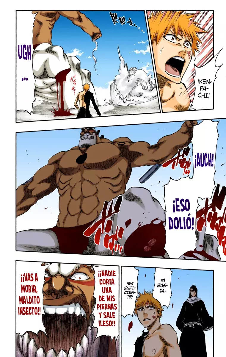 Read Bleach Full Color ES Manga Online