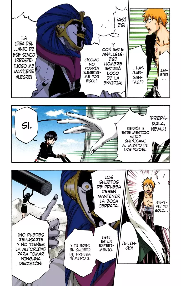 Read Bleach Full Color ES Manga Online