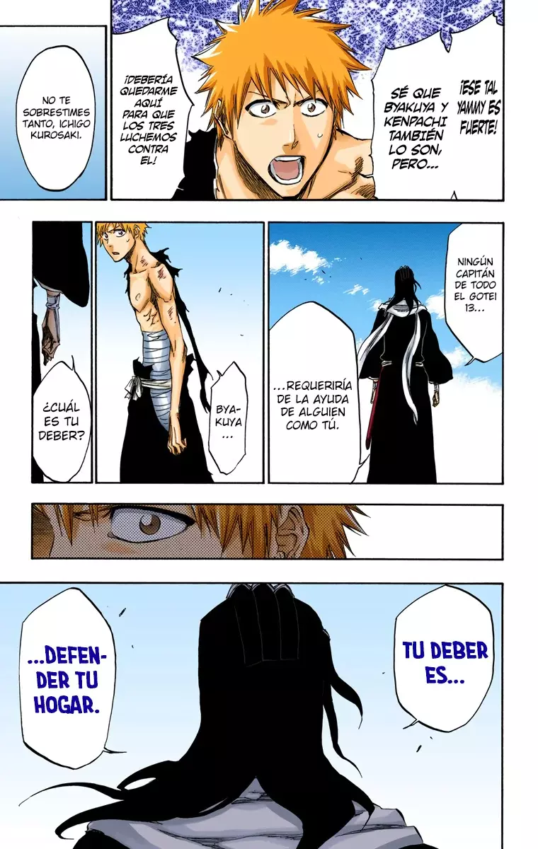 Read Bleach Full Color ES Manga Online