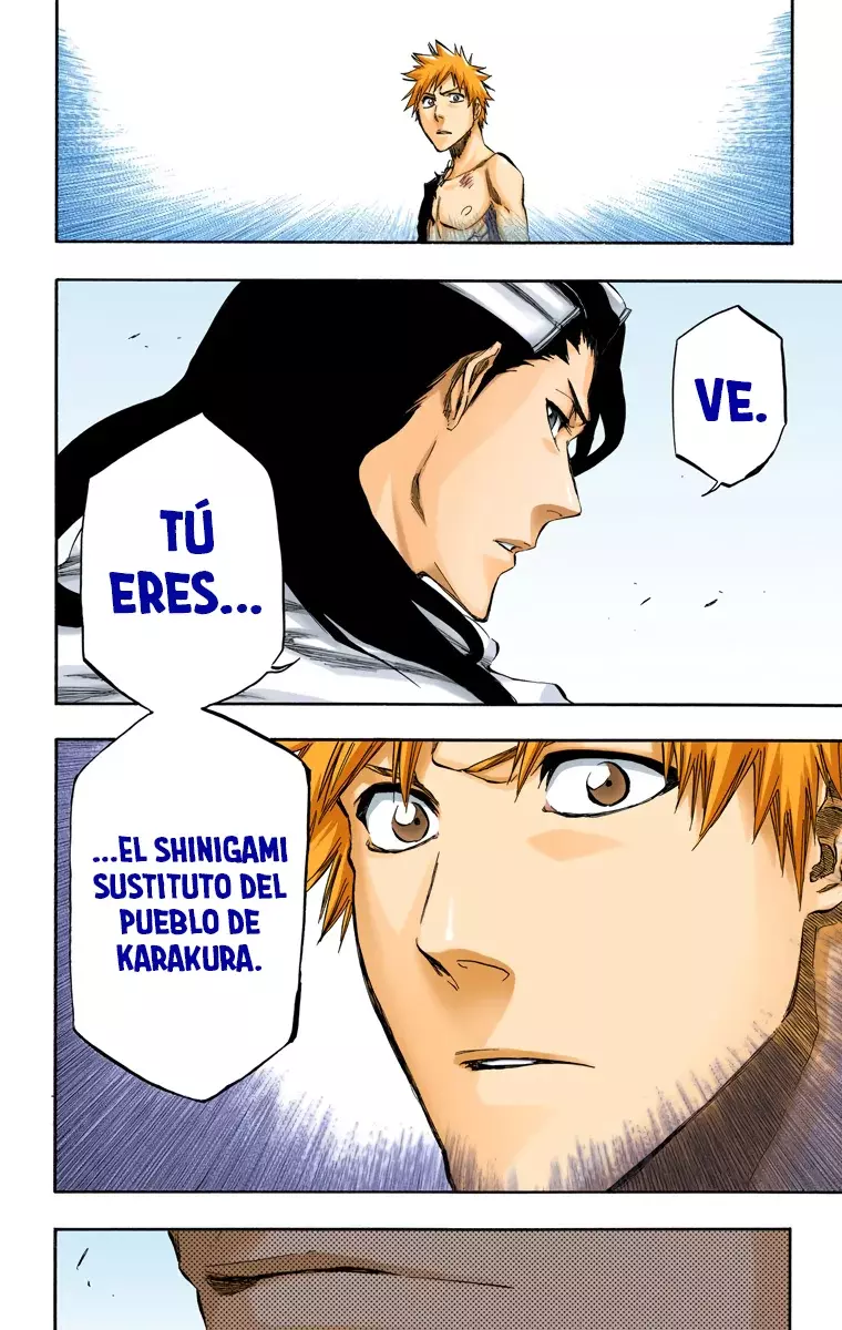 Read Bleach Full Color ES Manga Online