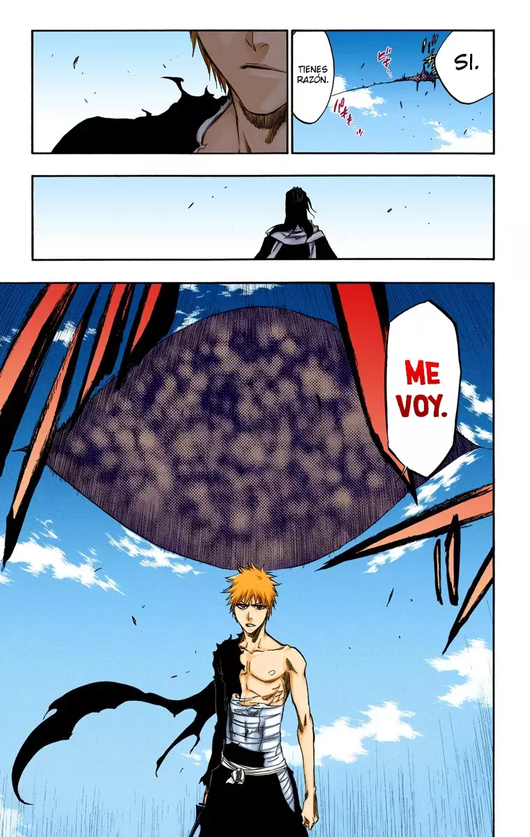 Read Bleach Full Color ES Manga Online
