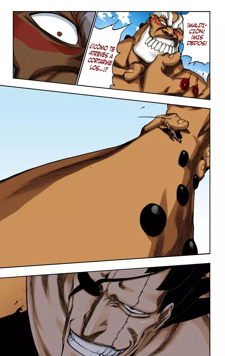 Read Bleach Full Color ES Manga Online