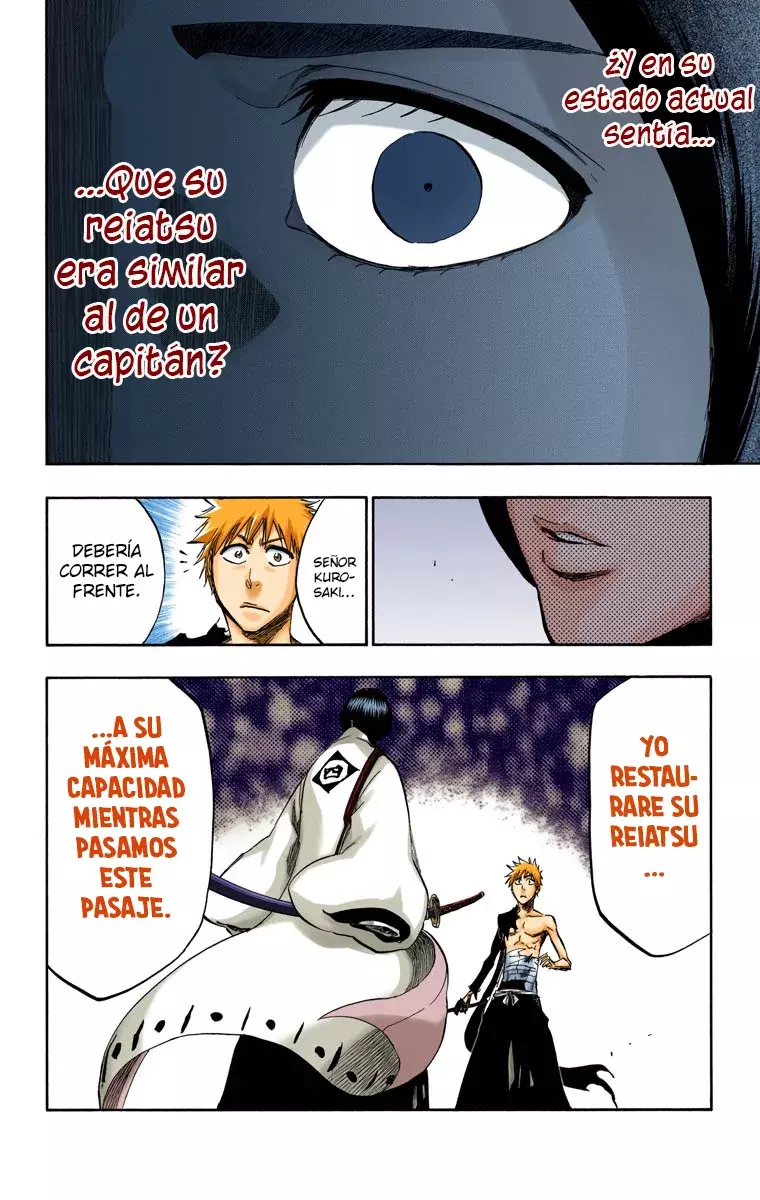 Read Bleach Full Color ES Manga Online