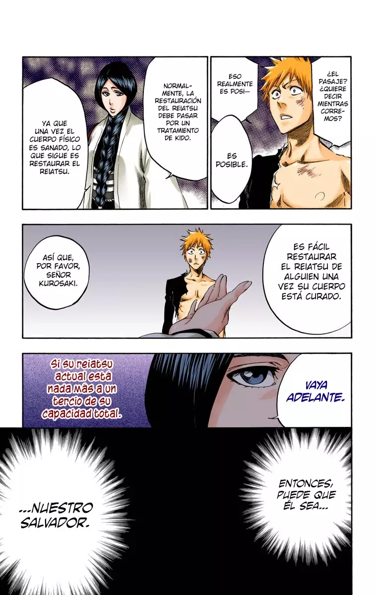 Read Bleach Full Color ES Manga Online