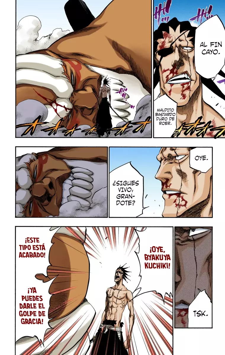 Read Bleach Full Color ES Manga Online