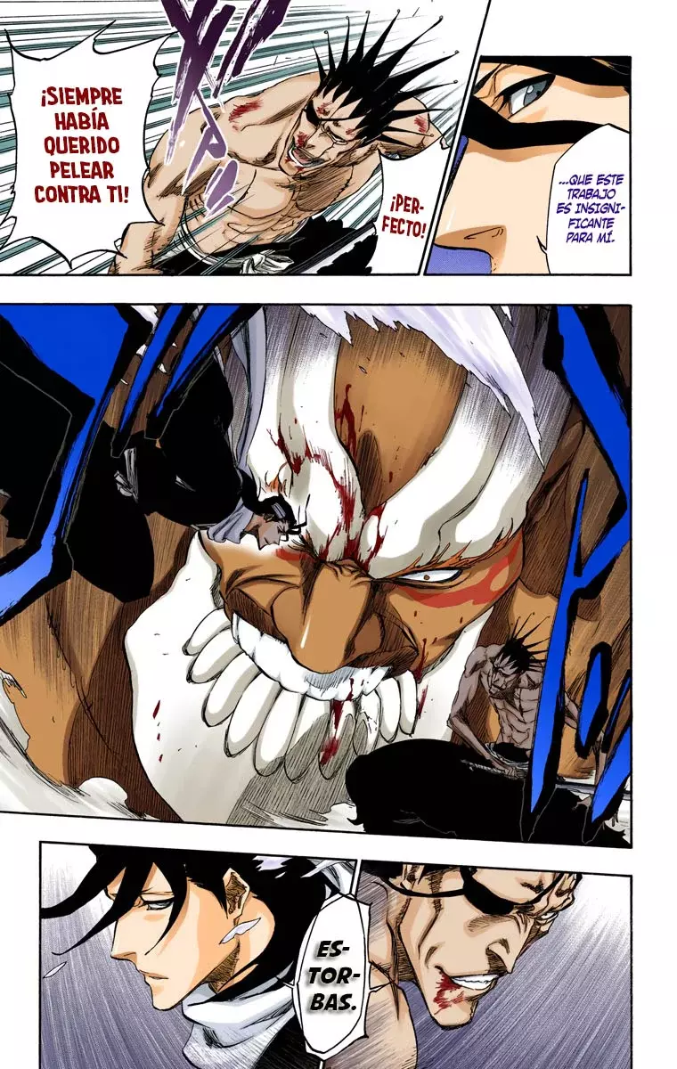 Read Bleach Full Color ES Manga Online