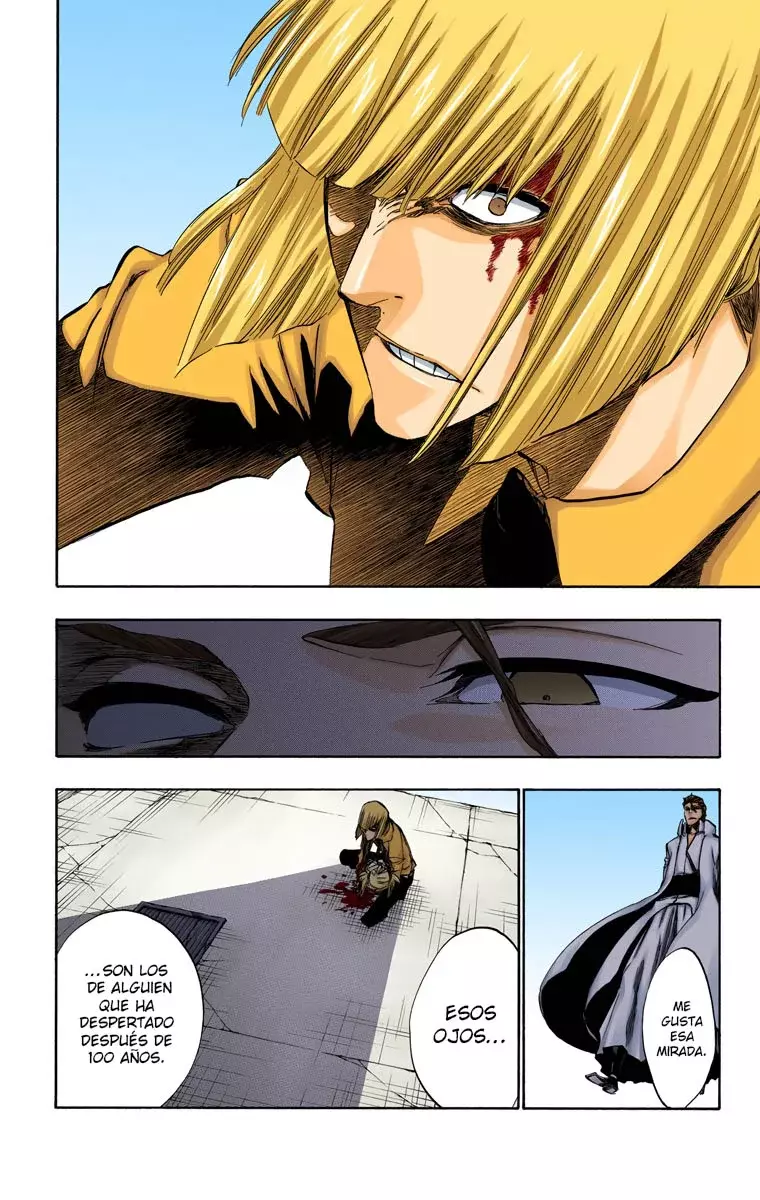 Read Bleach Full Color ES Manga Online