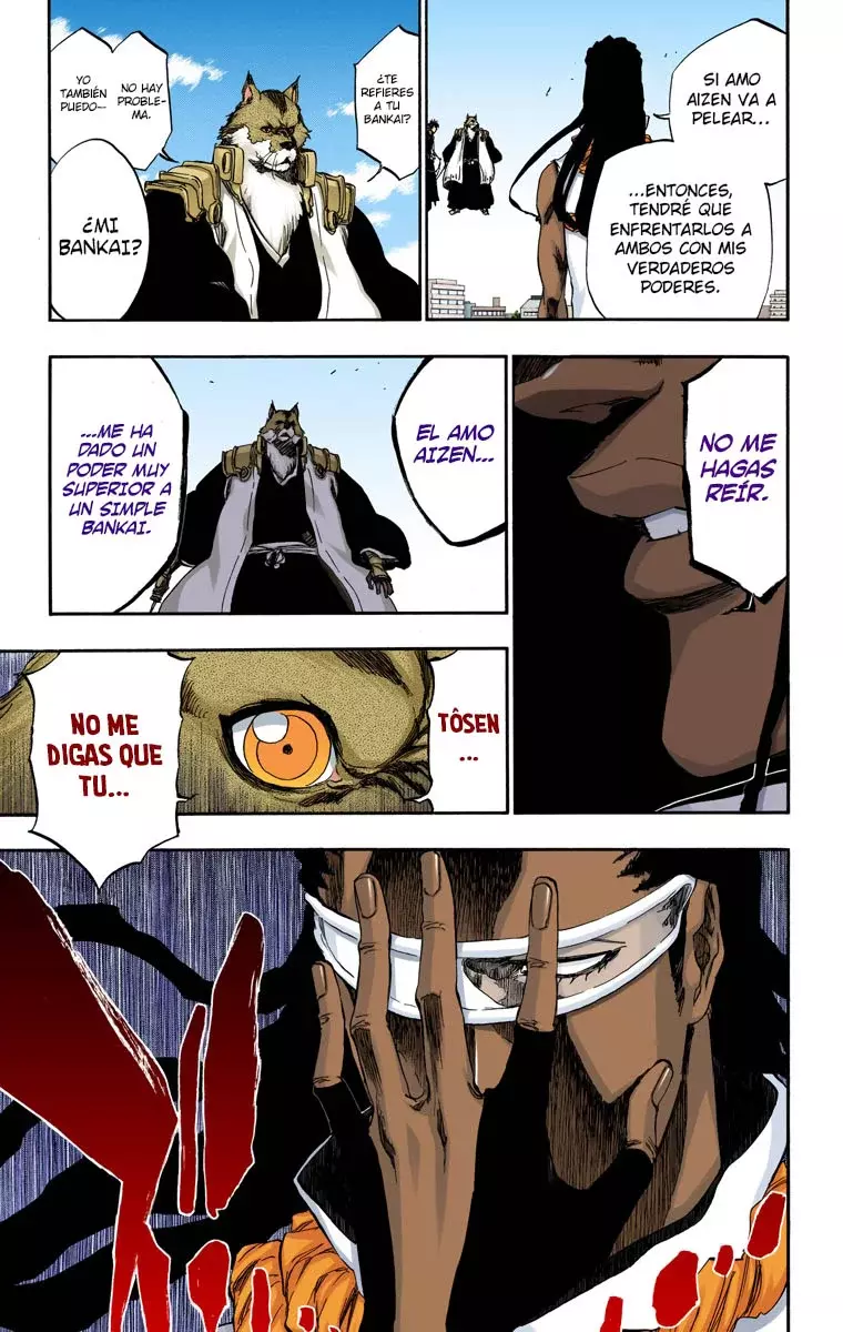 Read Bleach Full Color ES Manga Online