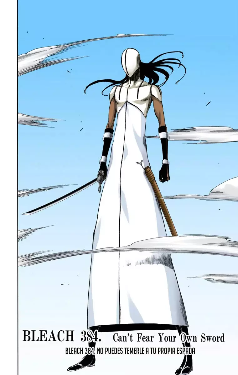 Read Bleach Full Color ES Manga Online
