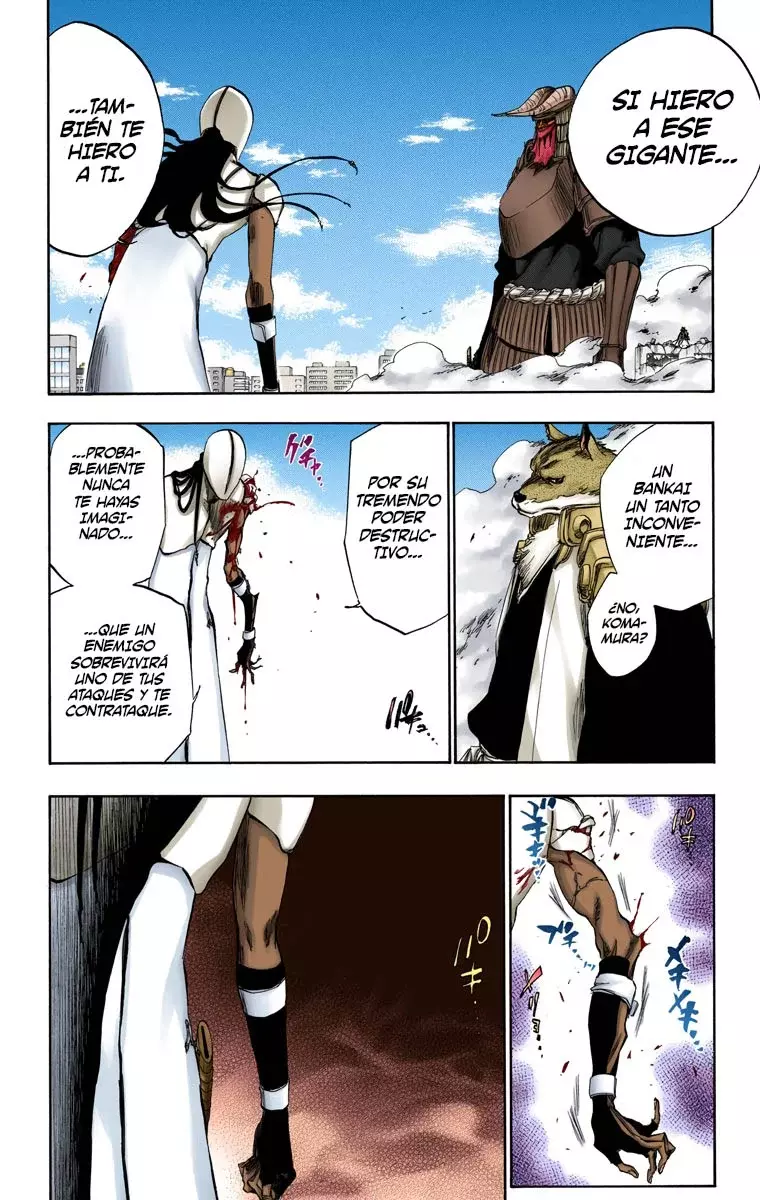 Read Bleach Full Color ES Manga Online