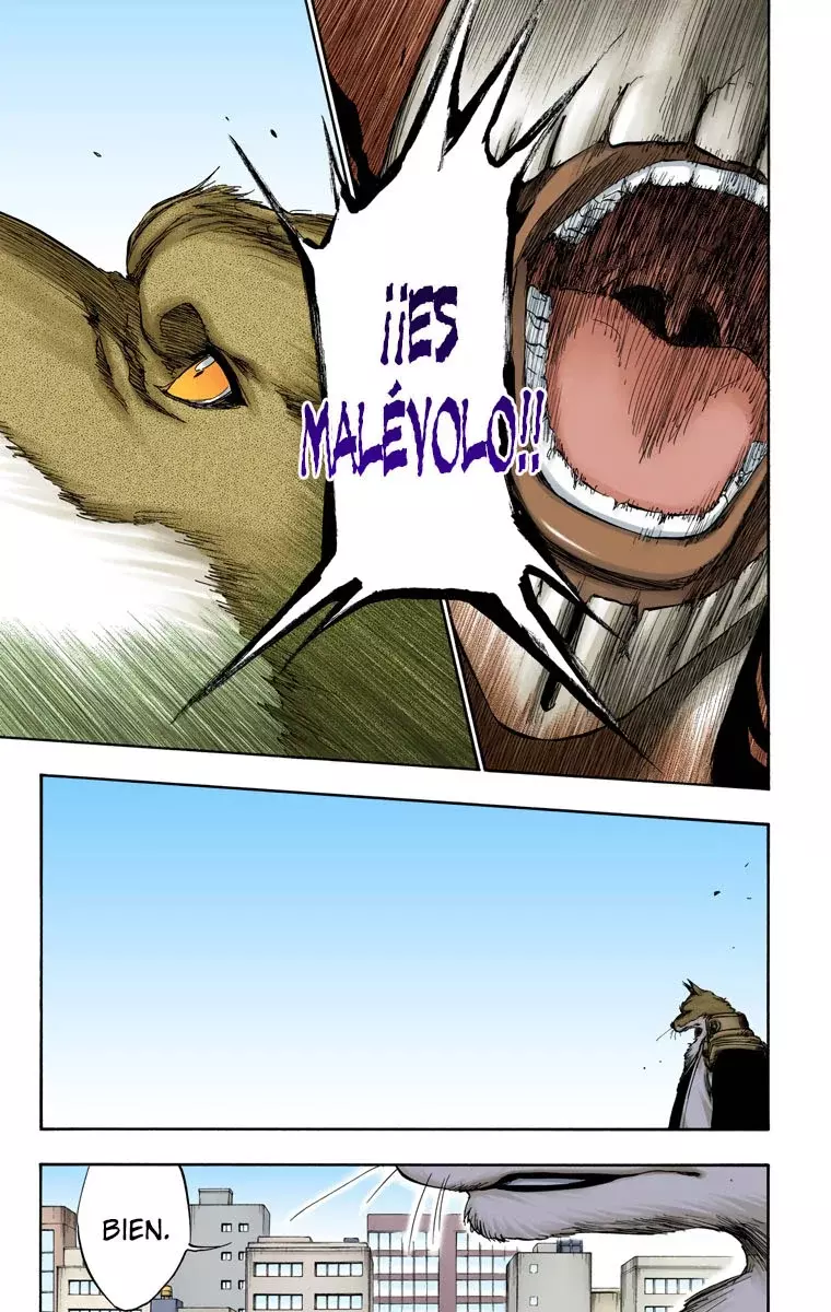 Read Bleach Full Color ES Manga Online