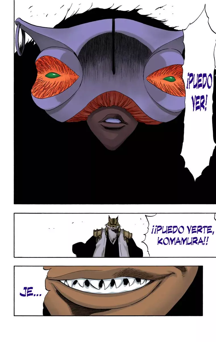 Read Bleach Full Color ES Manga Online