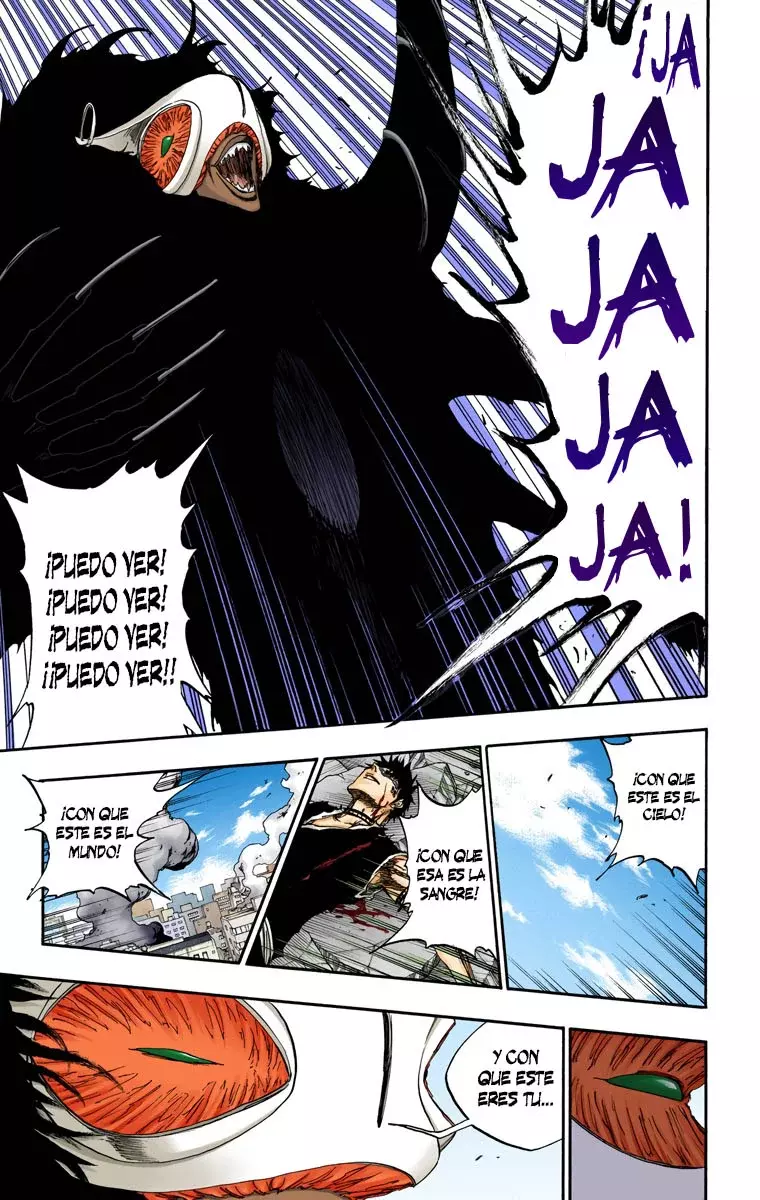 Read Bleach Full Color ES Manga Online