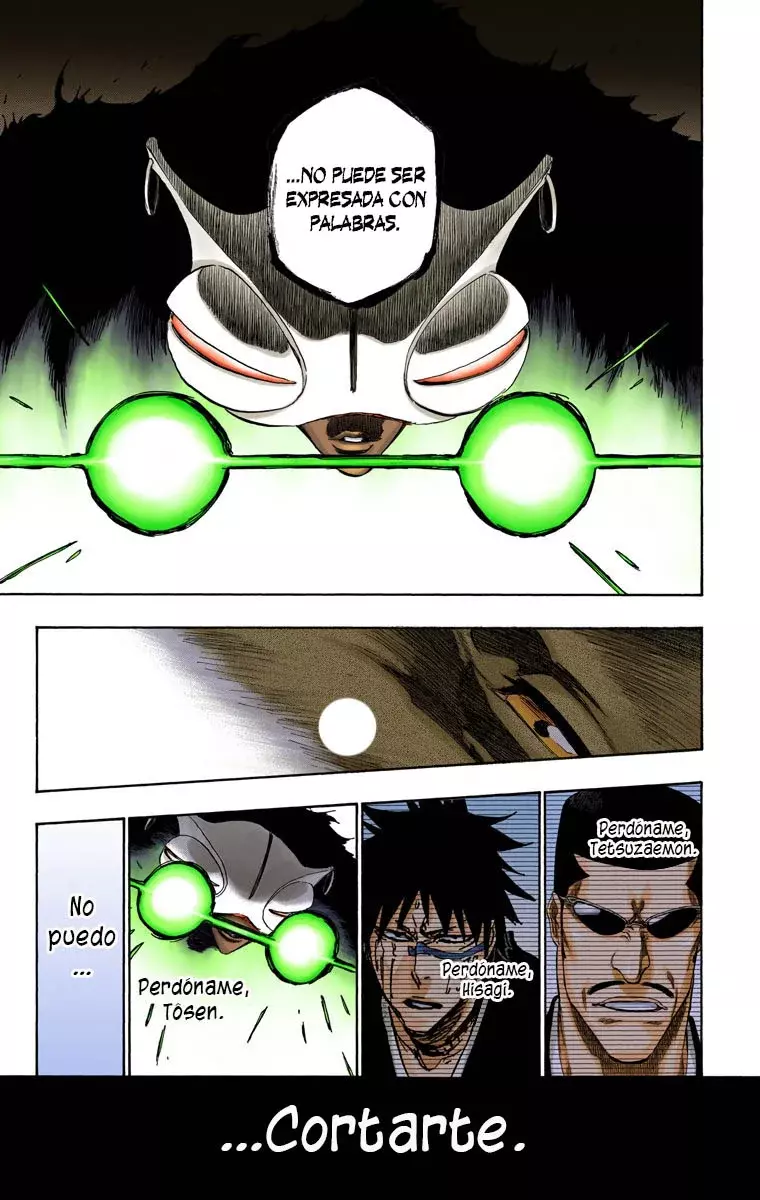 Read Bleach Full Color ES Manga Online