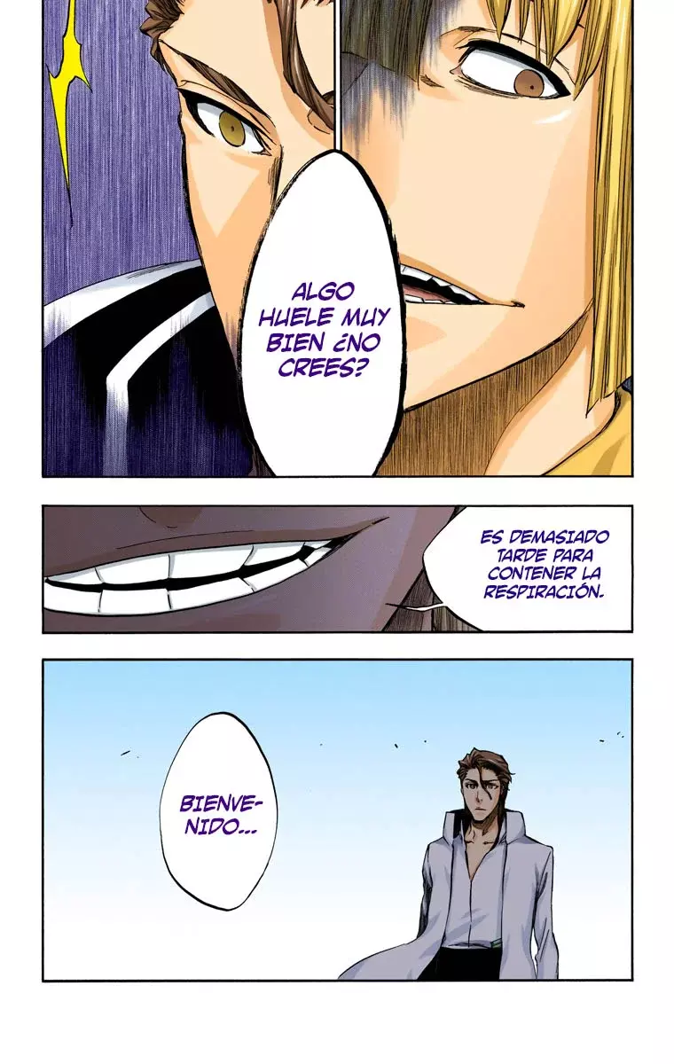 Read Bleach Full Color ES Manga Online