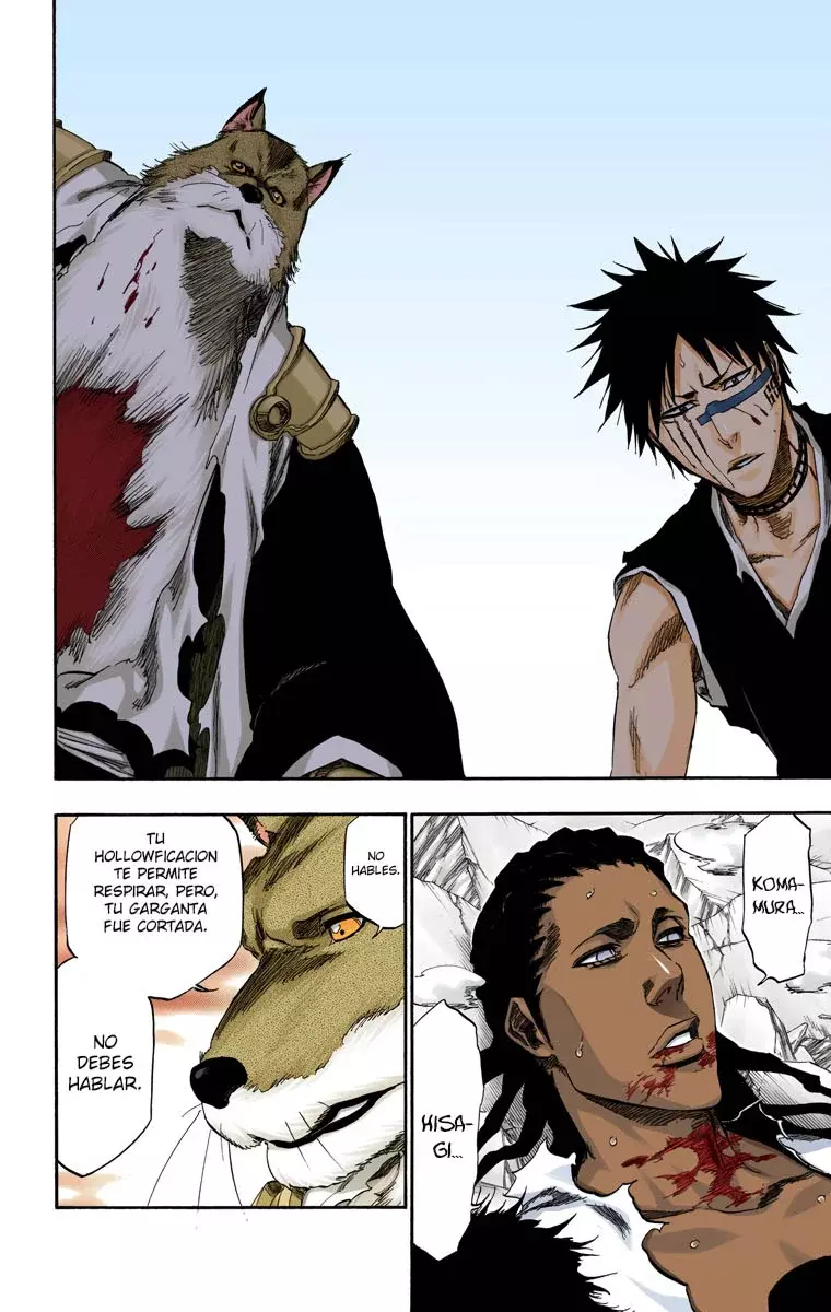 Read Bleach Full Color ES Manga Online