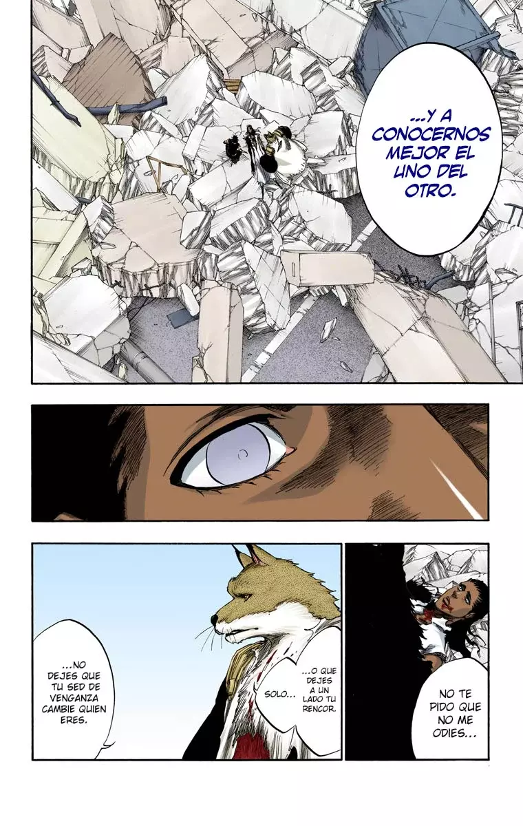 Read Bleach Full Color ES Manga Online
