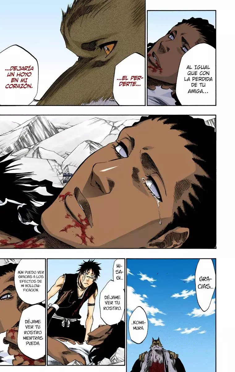 Read Bleach Full Color ES Manga Online