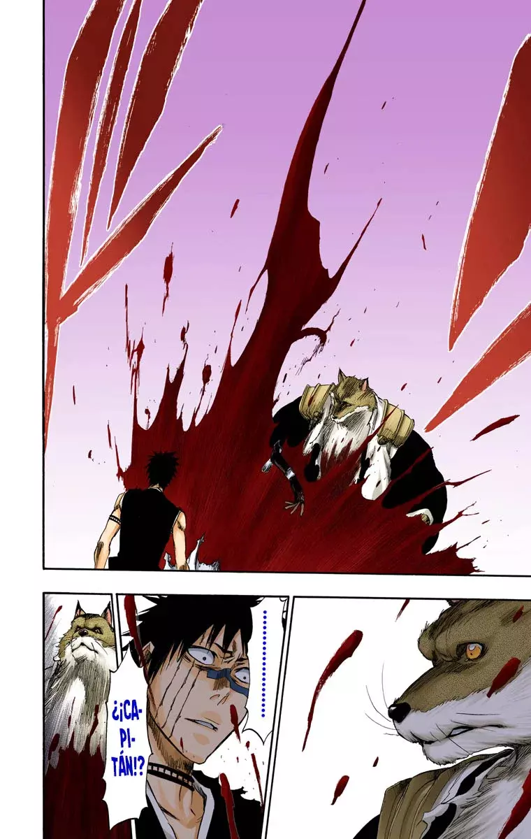 Read Bleach Full Color ES Manga Online