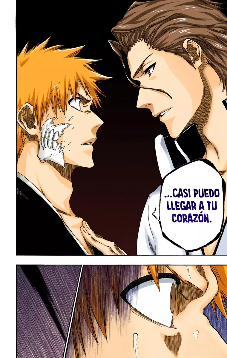 Read Bleach Full Color ES Manga Online