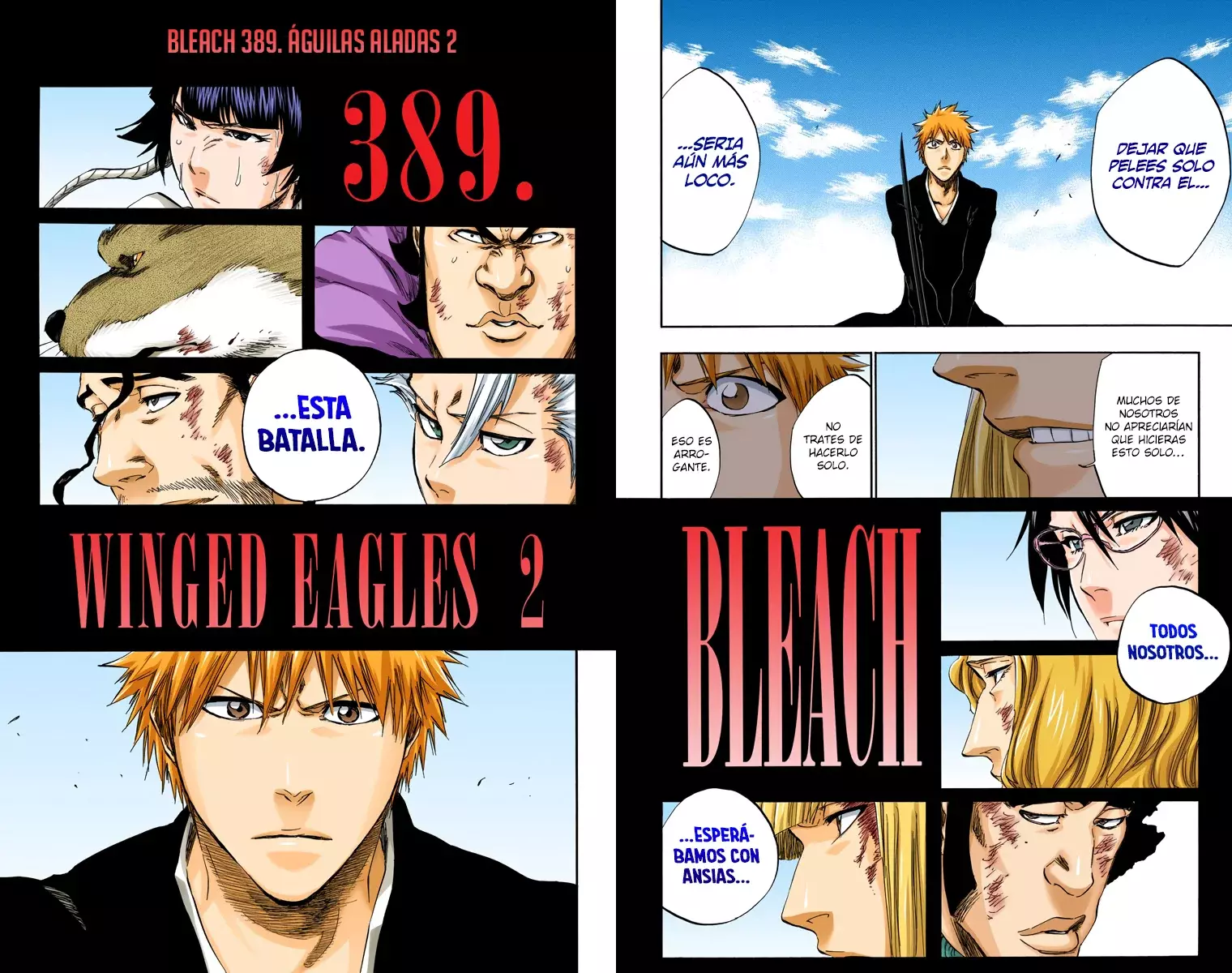 Read Bleach Full Color ES Manga Online
