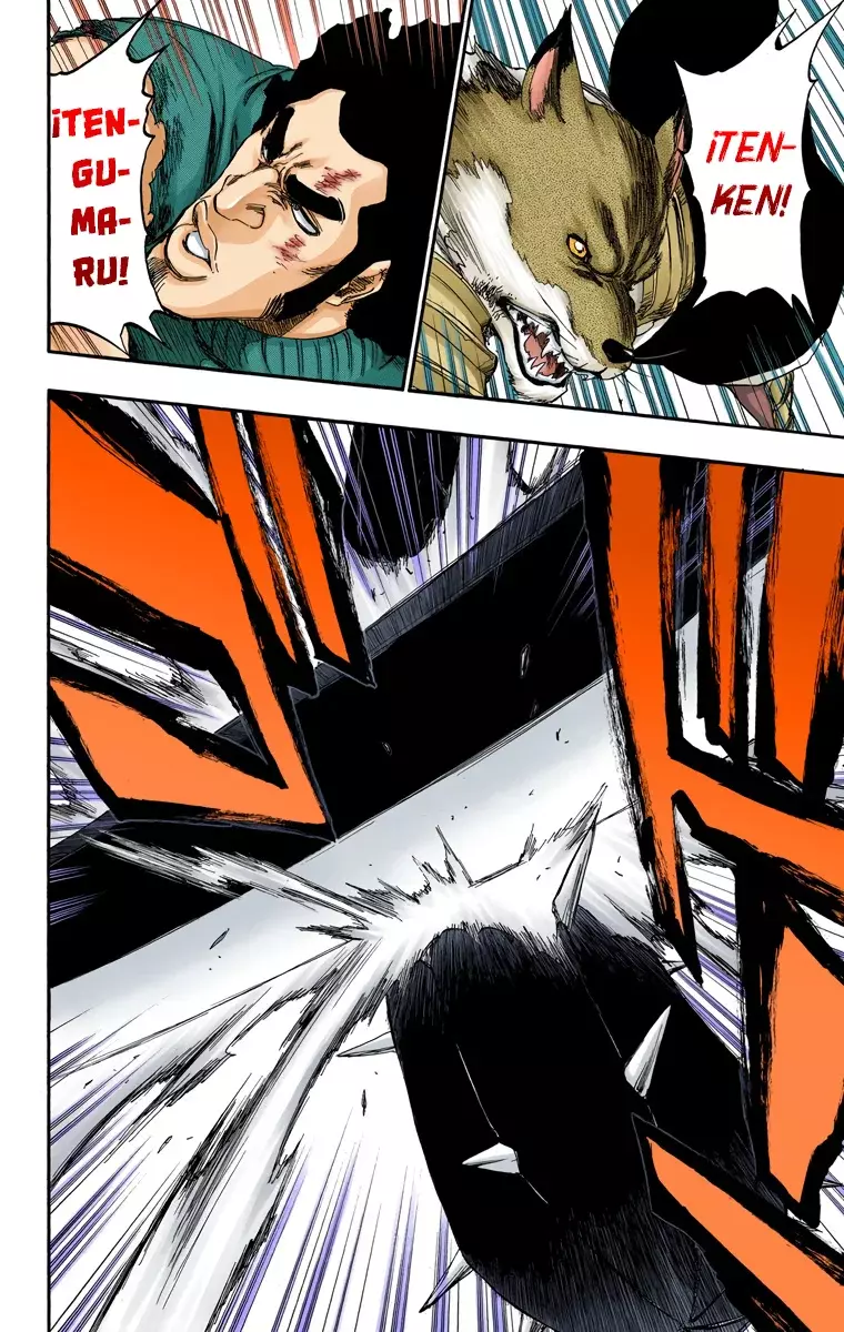 Read Bleach Full Color ES Manga Online