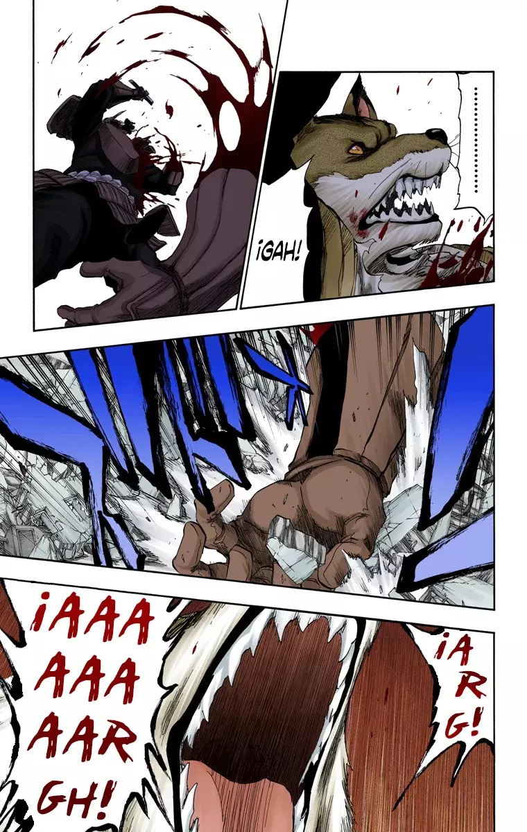 Read Bleach Full Color ES Manga Online