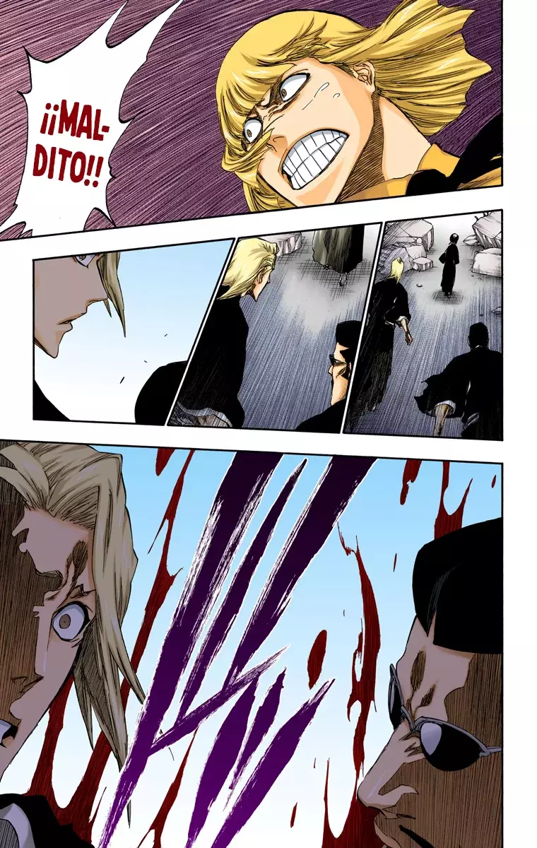 Read Bleach Full Color ES Manga Online