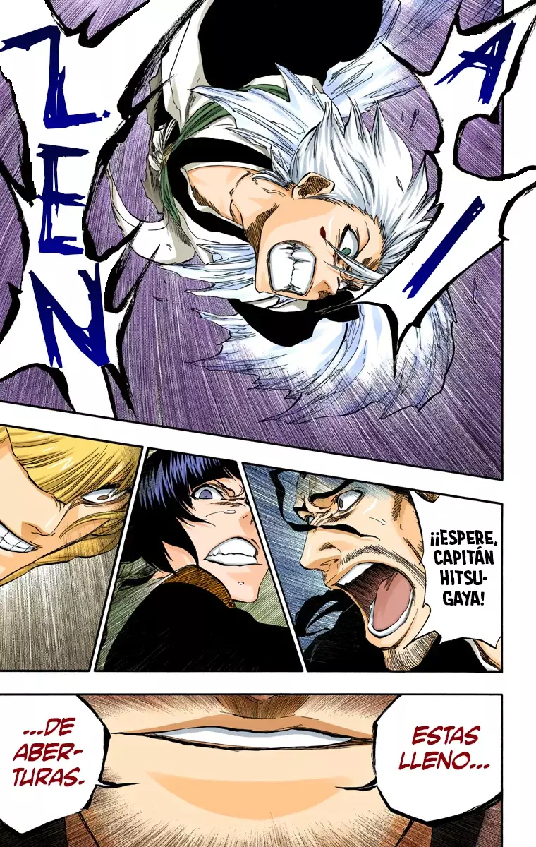 Read Bleach Full Color ES Manga Online