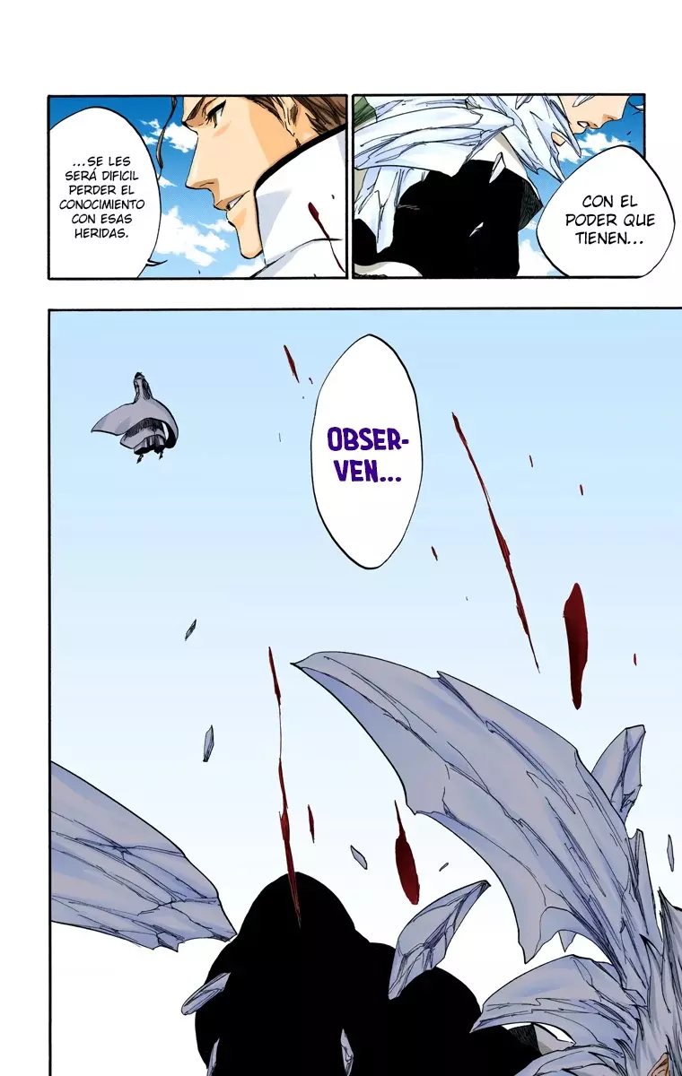 Read Bleach Full Color ES Manga Online