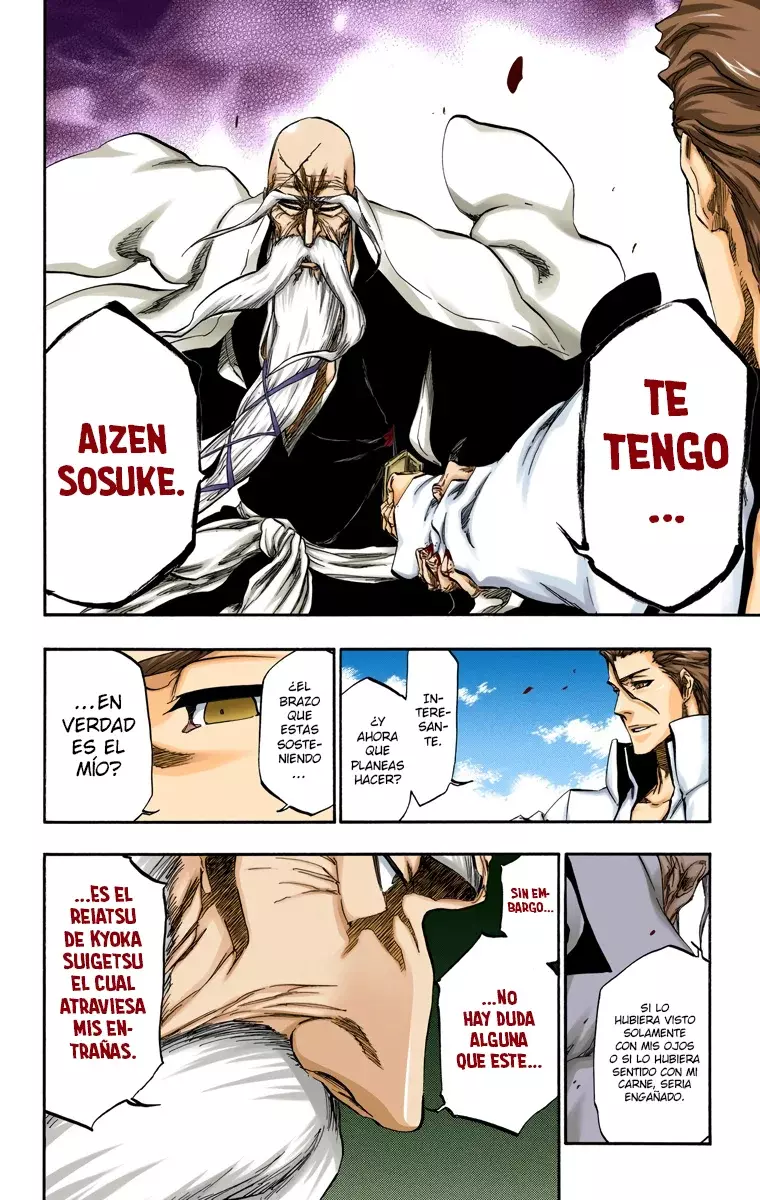 Read Bleach Full Color ES Manga Online