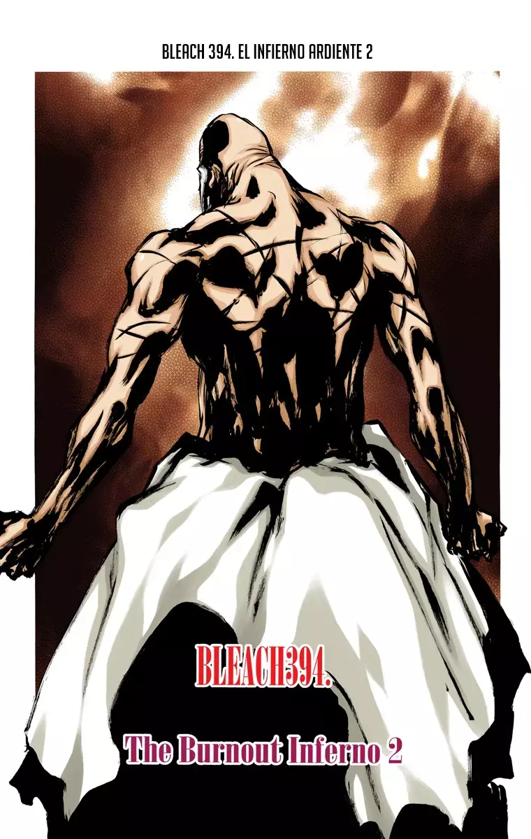 Read Bleach Full Color ES Manga Online